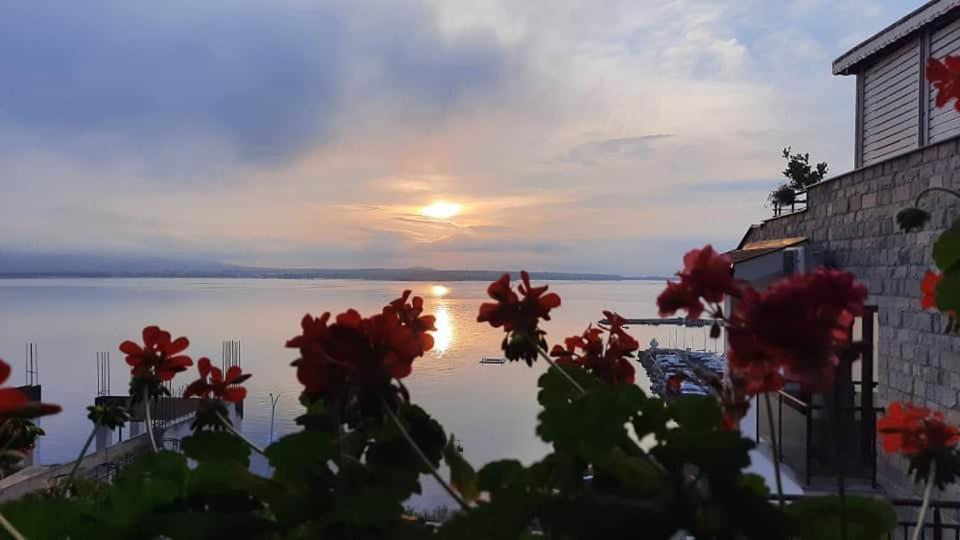 Orion Guest House Sozopol Esterno foto